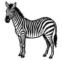 Pencil sketch of Zebra line art icon sign silhouette vector illustration on white background