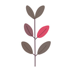 Plant leaf, branch. Icon, vector illustration, graphic design, flat style