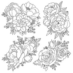 Set of Blossom Flower Hand Draw Line Art