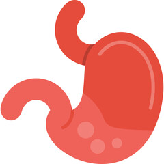 Stomach Vector Icon