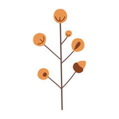 Branch with leaves and berries, isolated, vector illustration, design