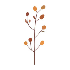 Branch with leaves and berries, isolated, vector illustration, design