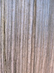 old wood background texture