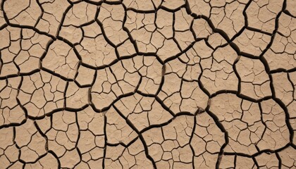 Realistic Cracked Dried Mud Surface