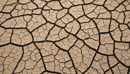 Realistic Cracked Dried Mud Surface