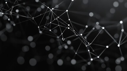 Network Connectivity