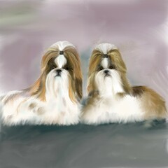 Two dogs on the floor