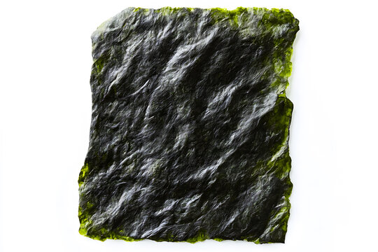Green sheet of nori top view isolated on white background