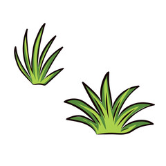 Realistic green grass isolated on white background. Fresh, natural blades of grass with detailed texture and vibrant color. Ideal for concepts related to nature, ecology, landscape design