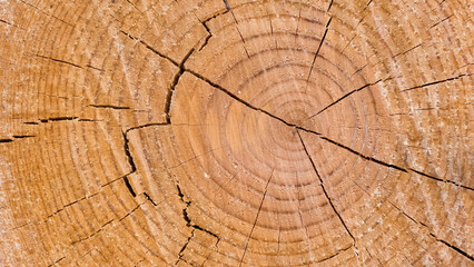 Fototapeta premium Photos of wooden surface for background.