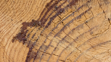 Fototapeta premium Photos of wooden surface for background.
