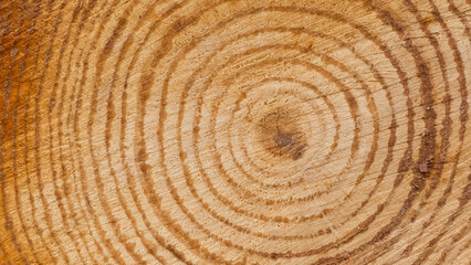Fototapeta premium Photos of wooden surface for background.