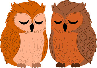 Couple of owls