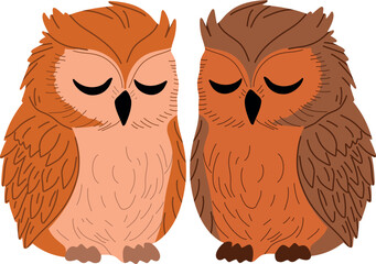 Couple of owls