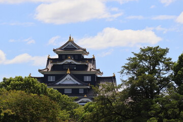 青空の下の岡山成