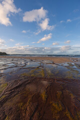 Rocky and sandy beach shore.