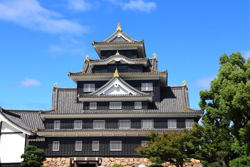 Fototapeta premium 青空の下の岡山成