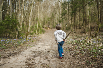 Adorable little boy having fun during a hike in the woods on beautiful sunny spring day. Active family leisure with kids.