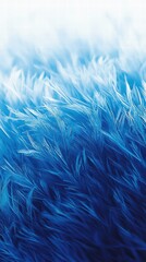 Obraz premium Frosted grass a glimpse of ice crystals in soft morning light
