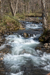 山奥の春の渓流
