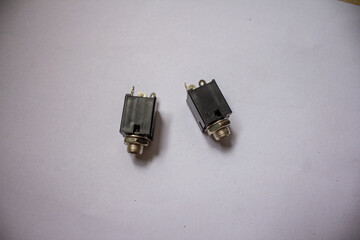 Female jack photographed on a plain white background.
Pinrang, South Sulawesi indonesia.
February 06 2025