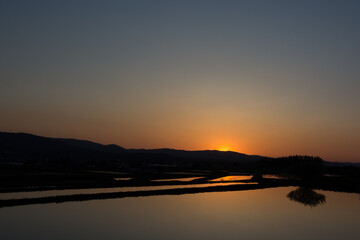 Fototapeta premium 夕日を反射する春の水田 
