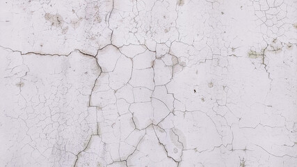 White peeling paint on wall,Old Grey Concrete wall with Cracked Flaking Plaster Paint. Floor Cement Weathered Rough Painted Surface with Patterns of Cracks and peeling