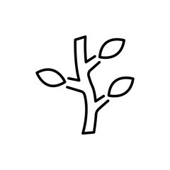 Tree twig outline icons, minimalist vector illustration ,simple transparent graphic element .Isolated on white background