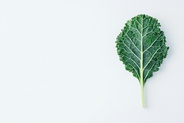 Naklejka premium Fresh Green Kale Leaf on White Background Exhibiting Natural Texture and Organic Beauty