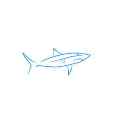 shark logo design