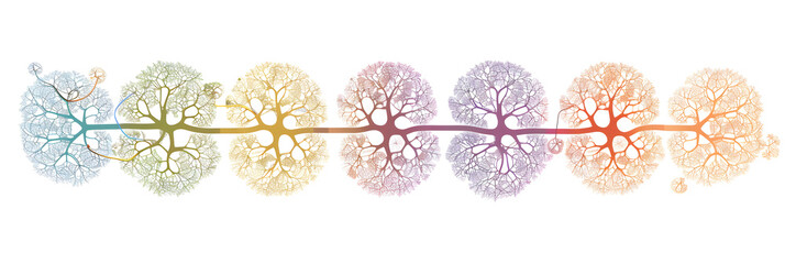 Color-Coded Illustration of a PQ Tree Representing Permutations