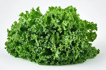 Fototapeta premium Fresh green kale vibrant curly leaves on white background healthy eating and lifestyle concept