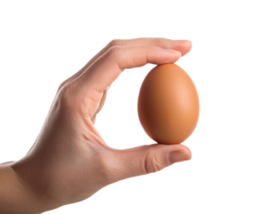 woman is holding a brown chicken egg