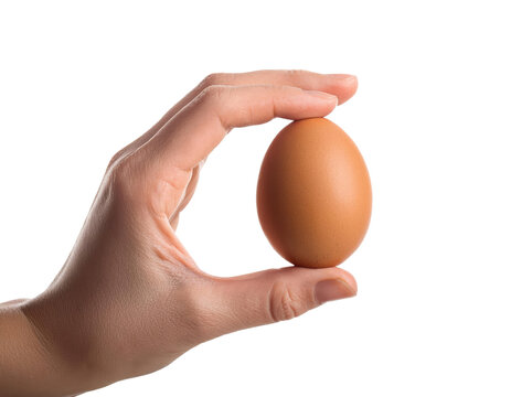woman is holding a brown chicken egg