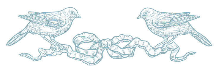 Bow graphics, vector, png, blue color, vintage, retro style, gift card design