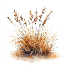 Illustration painted in realistic boho style gives peaceful calming