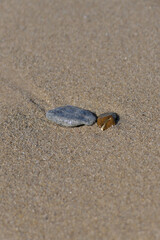 A stone in the sand on the beach. A pebble on the beach. Selective focus.