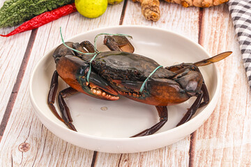 Wild raw crab for cooking