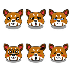 cute vector illustration of mascot raccon animal bundle with various facial expressions