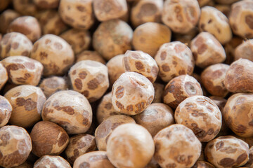 lot Dried Betel Nut, Areca Nut, Areca catechu Background