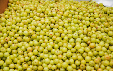 Sri lankan green fruits on market