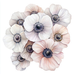 Watercolor anemones cluster in soft colors, creating calming effect
