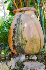 Multi colored Cistern and water fountain. On concrete slab with green bushes and bamboo. Sunshine and shade no people room for copy. 

