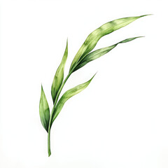 Obraz premium Illustration of green plant evokes sense of natural serenity