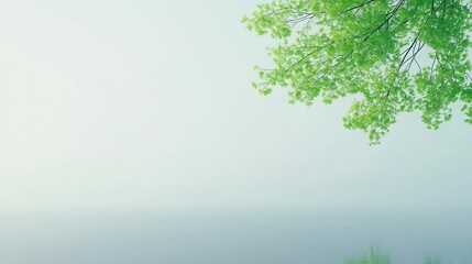 Obraz premium Misty Morning, Serene Lake with Green Leaves