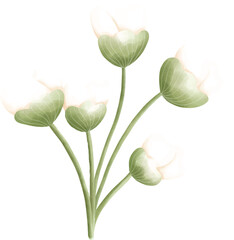 Fototapeta premium Easter flower18.eps