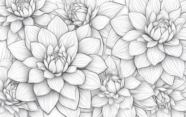 Delicate blue line art of dahlia flowers on a white background, creating a minimalist design with intricate petal details and soft shadows, ideal for wallpaper or prints.