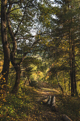 Beautiful autumn landscape