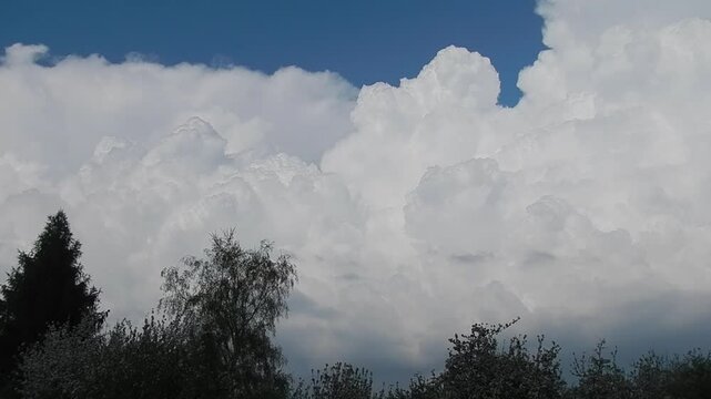Blue sky with slowly developing white clouds Cumulus, rainy and stormy Cumulonimbus calvus over green and flowering trees on spring - shot with camera movement. Topics: cloudscape, storm, meteorology