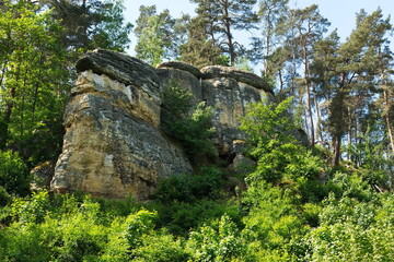 Klusfelsen Halberstadt Harz im Fr&uuml;hjahr